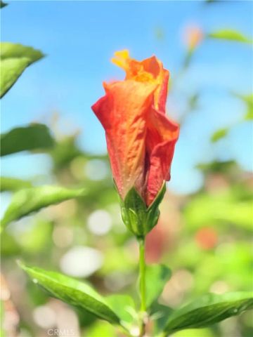 22141 Comanche, Lake Forest, CA 92630