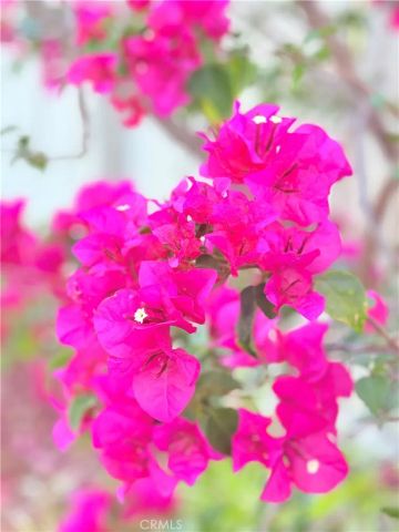 22141 Comanche, Lake Forest, CA 92630