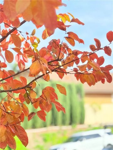 22141 Comanche, Lake Forest, CA 92630