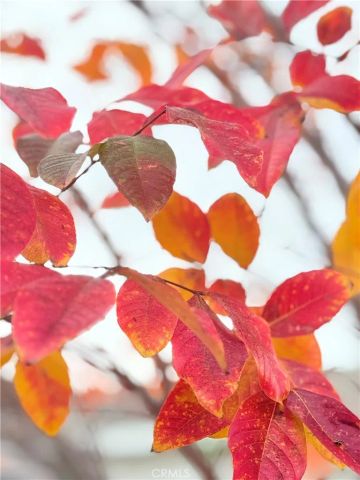 22141 Comanche, Lake Forest, CA 92630