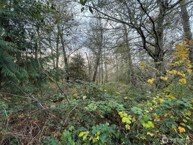 10312 SW 156th Street, Vashon, WA 98070