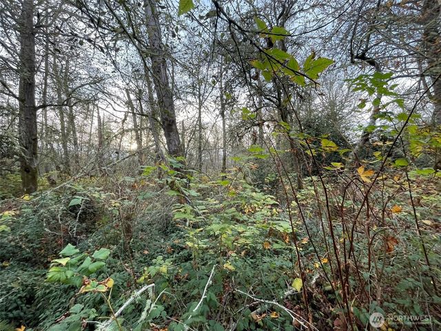 10312 SW 156th Street, Vashon, WA 98070