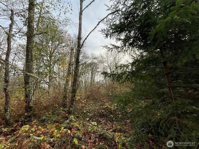 10312 SW 156th Street, Vashon, WA 98070