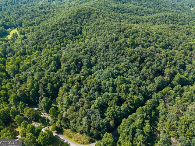 5198 Flat Branch Road, Ellijay, GA 30540