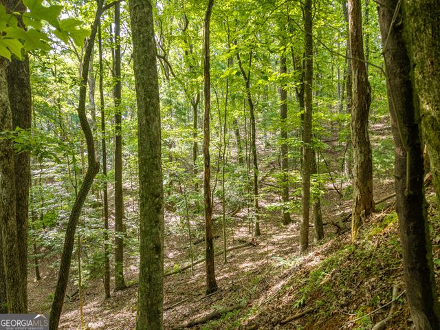 5198 Flat Branch Road, Ellijay, GA 30540