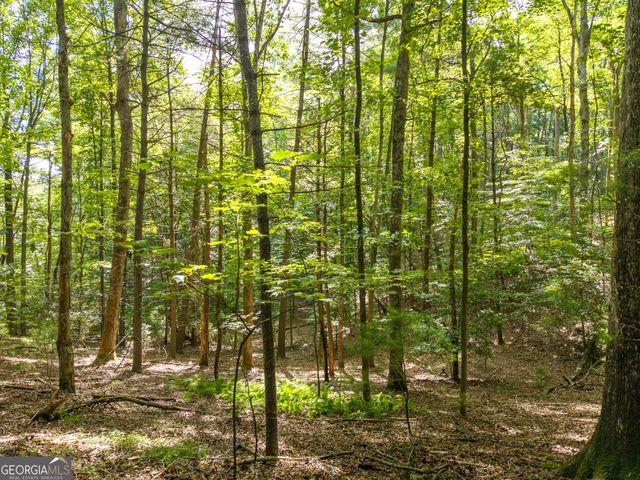 5198 Flat Branch Road, Ellijay, GA 30540