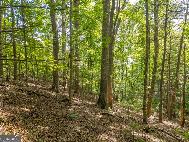 5198 Flat Branch Road, Ellijay, GA 30540