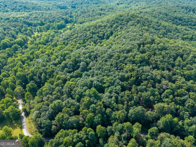 5198 Flat Branch Road, Ellijay, GA 30540