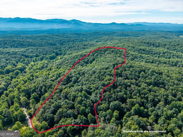 5198 Flat Branch Road, Ellijay, GA 30540