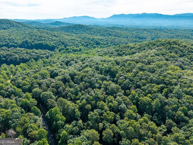 5198 Flat Branch Road, Ellijay, GA 30540