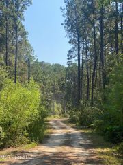 60 Horseshoe Lane, Carriere, MS 39426