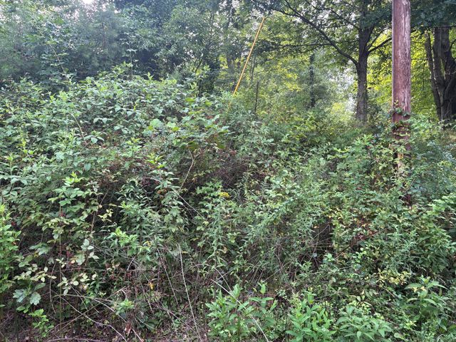 650 Ky 3085, Flat Lick, KY 40935