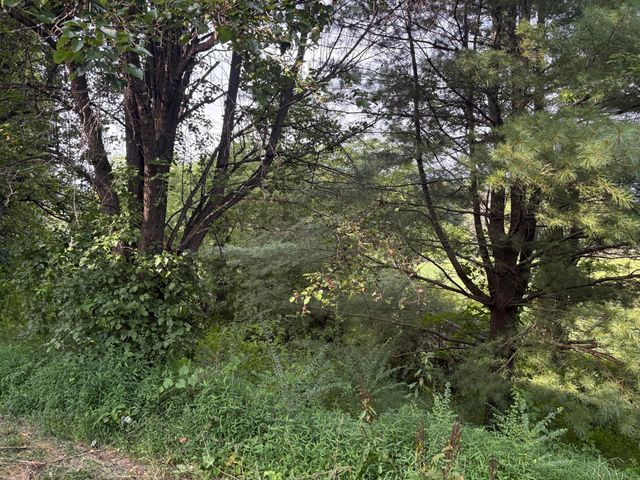 650 Ky 3085, Flat Lick, KY 40935