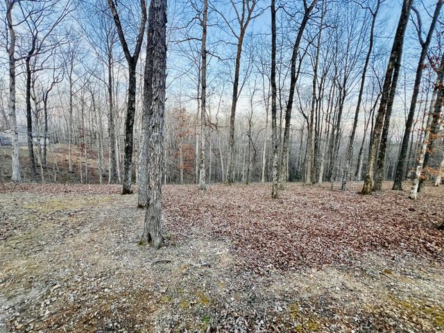 732 Tiger Bennett Rd, Hampshire, TN 38461