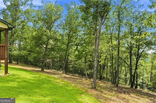 145 Ridgeline Road, Talking Rock, GA 30175