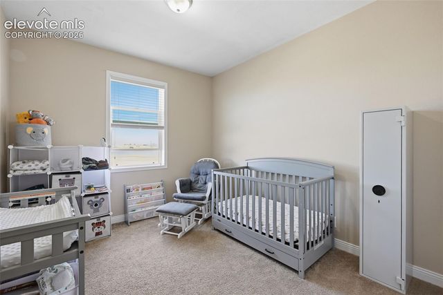 13620 Noah Abel Point, Calhan, CO 80808