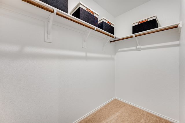 3029 Burmese Street, Providence Village, TX 76227