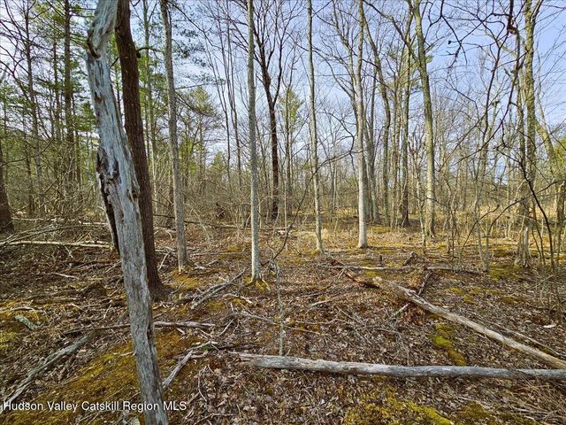 0 Stone Mountain Road, Round Top, NY 12473