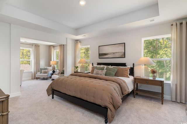 251 Konik St., Conway, SC 29526