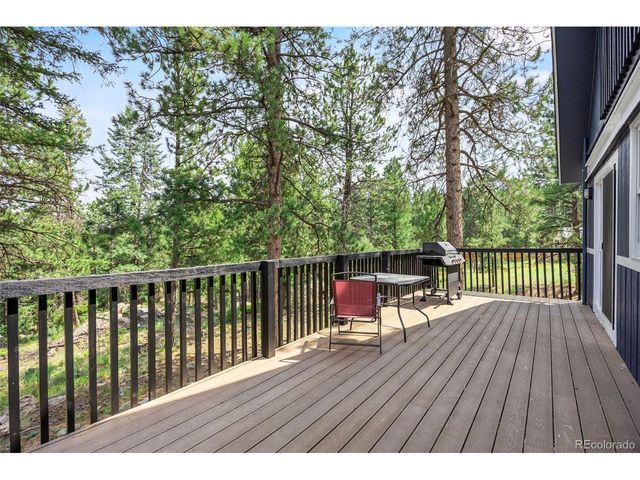 198 Blueberry Trl, Bailey, CO 80421