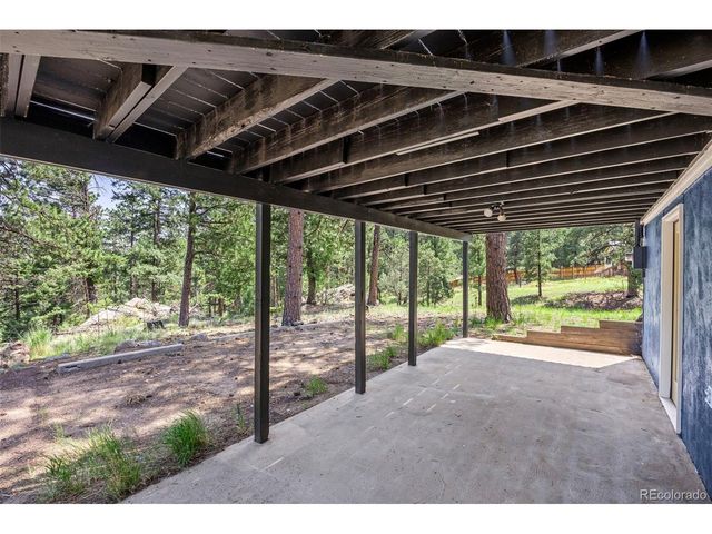 198 Blueberry Trl, Bailey, CO 80421