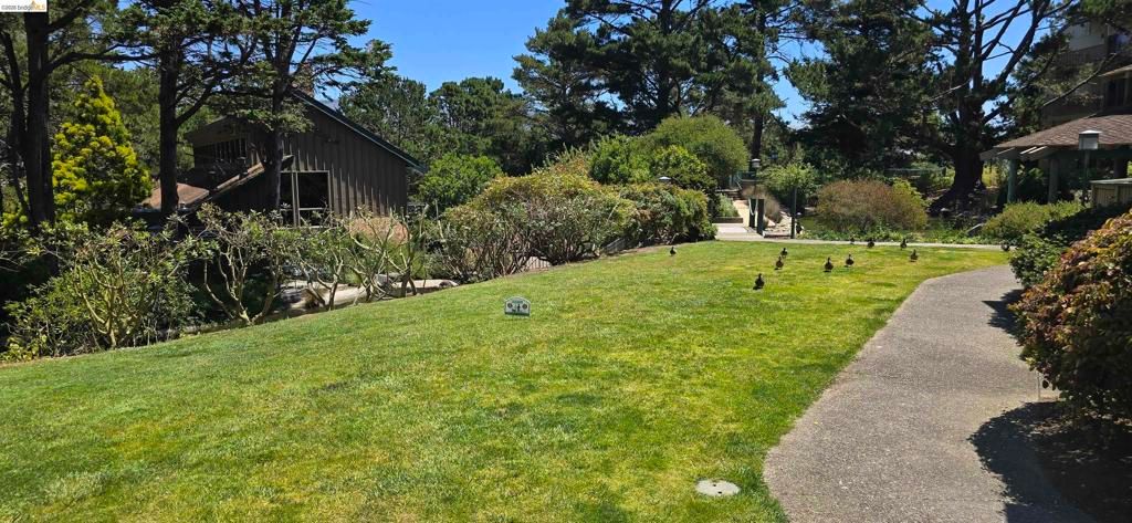 Image 8 of property listing at 397 Imperial 202, Daly City, CA 94015