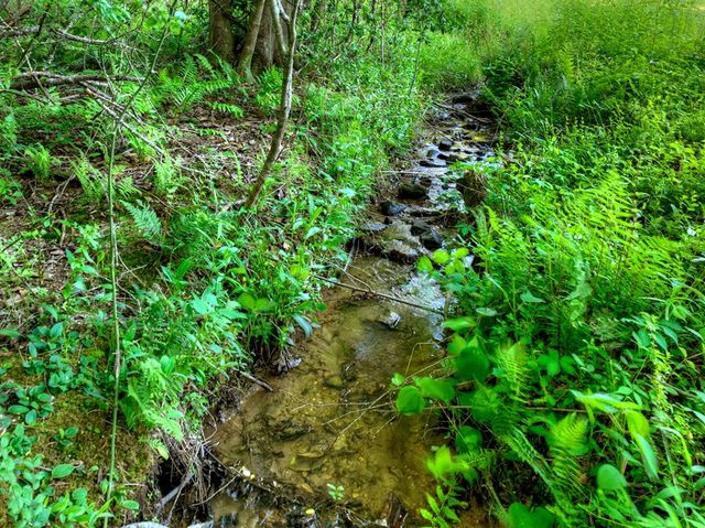 247 Craigtown Road, Ellijay, GA 30540