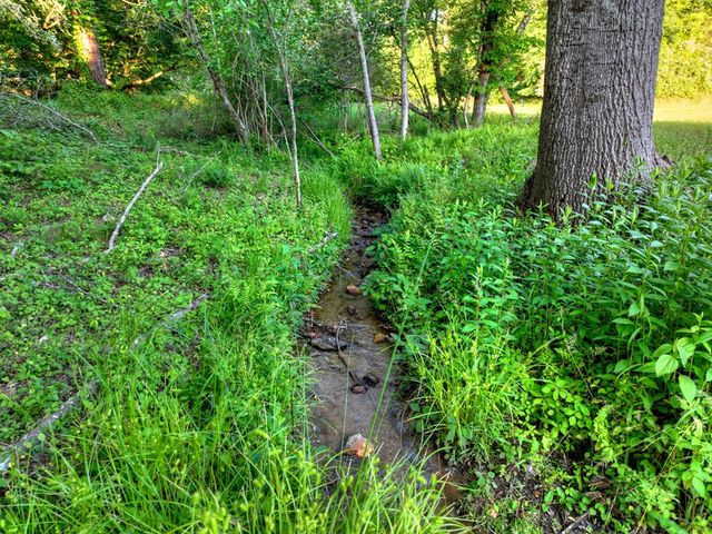 247 Craigtown Road, Ellijay, GA 30540
