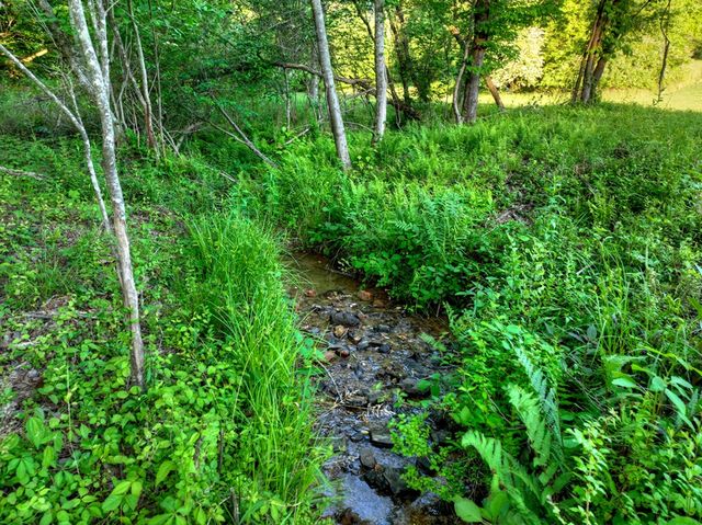 247 Craigtown Road, Ellijay, GA 30540