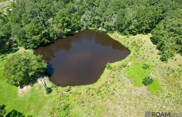 9001 Springfield Rd, Denham Springs, LA 70706