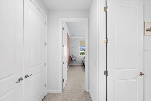 11213 MOULTRIE PLACE, Tampa, FL 33625