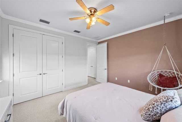 11213 MOULTRIE PLACE, Tampa, FL 33625