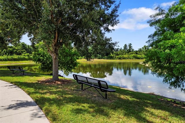 11213 MOULTRIE PLACE, Tampa, FL 33625