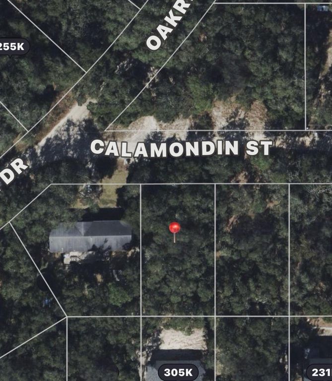 CALAMONDIN ST, Lady Lake, FL 32159