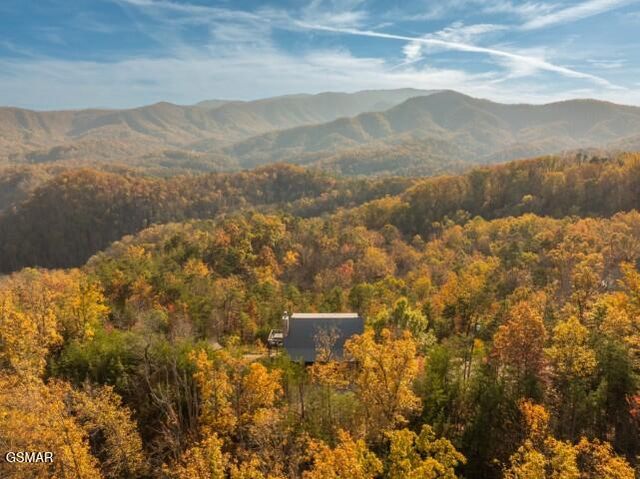 1114 Bear Paw Ridge Way, Sevierville, TN 37862