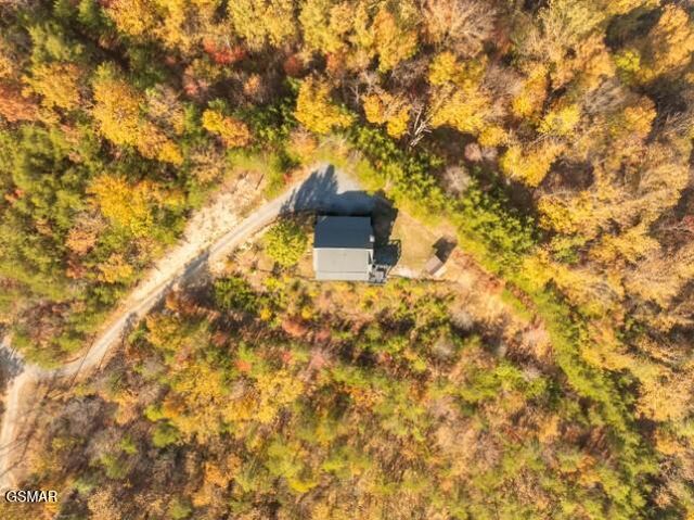 1114 Bear Paw Ridge Way, Sevierville, TN 37862