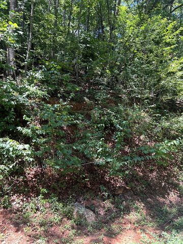 0 Skyview Acres Drive, Murphy, NC 28906