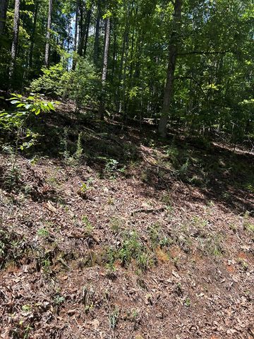 0 Skyview Acres Drive, Murphy, NC 28906