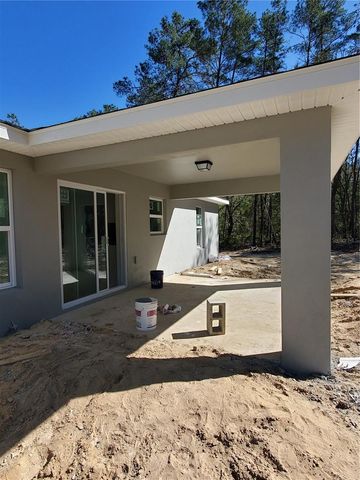 14 SEQUOIA TRAIL TRAK, Ocklawaha, FL 32179