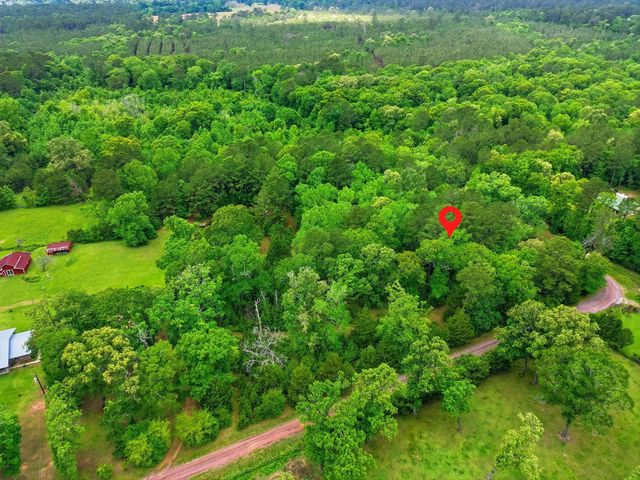 151 Parker Road, New Waverly, TX 77358