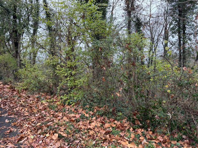 3991 Knollwood Terrace, Chattanooga, TN 37415