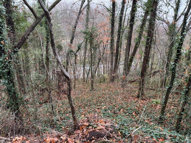 3991 Knollwood Terrace, Chattanooga, TN 37415