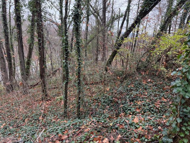 3991 Knollwood Terrace, Chattanooga, TN 37415