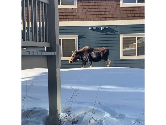 140 Sterling Loop 202, Fraser, CO 80442