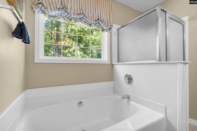 202 Hope Trace Way, Irmo, SC 29063