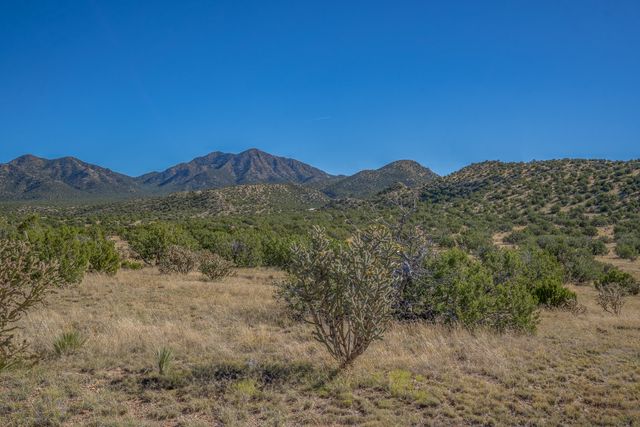 2 Trigg, Madrid, NM 87010