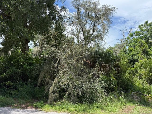 CLARK ROAD, Fruitland Park, FL 34731