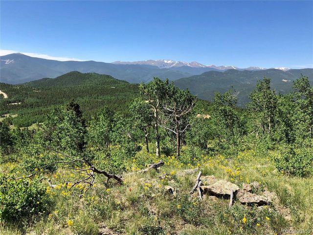 1 Alps Hill Rd, Central City, CO 80427