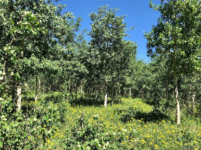 1 Alps Hill Rd, Central City, CO 80427