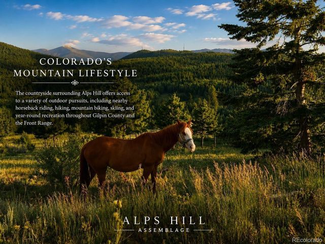 1 Alps Hill Rd, Central City, CO 80427
